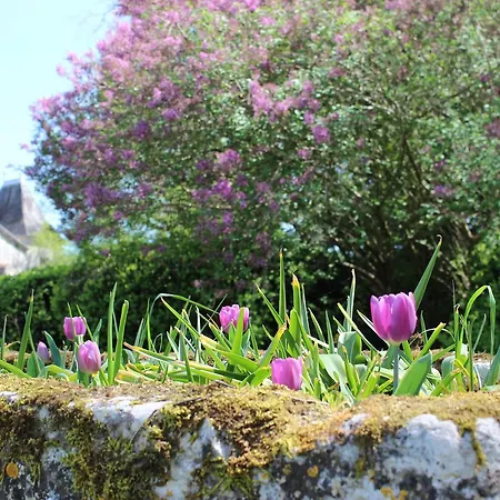 Chateau De Sers *